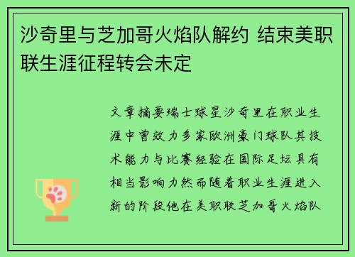 沙奇里与芝加哥火焰队解约 结束美职联生涯征程转会未定